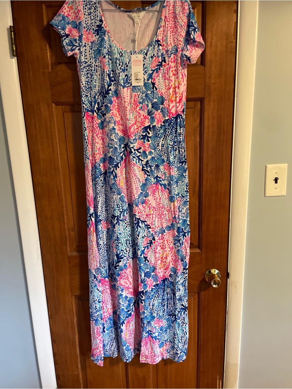 Lilly Pulitzer Pink and Blue Floral Maxi Dress
